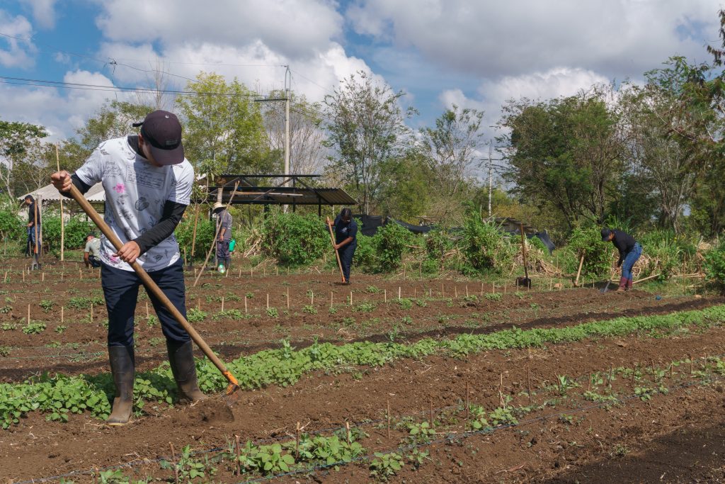 Imagen Ingeniería Agroindustrial