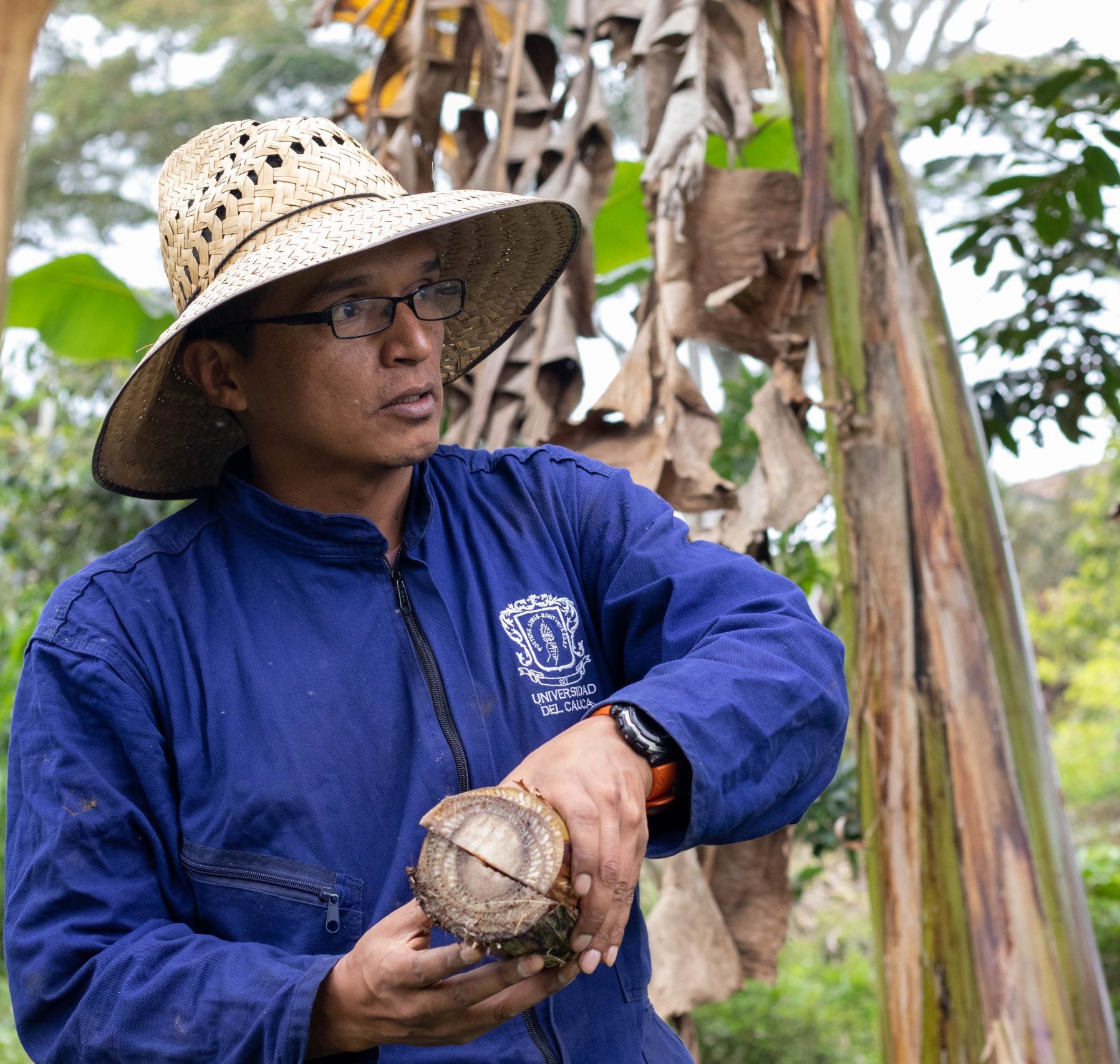 Imagen Finca escuela agroecológica demostrativa 2
