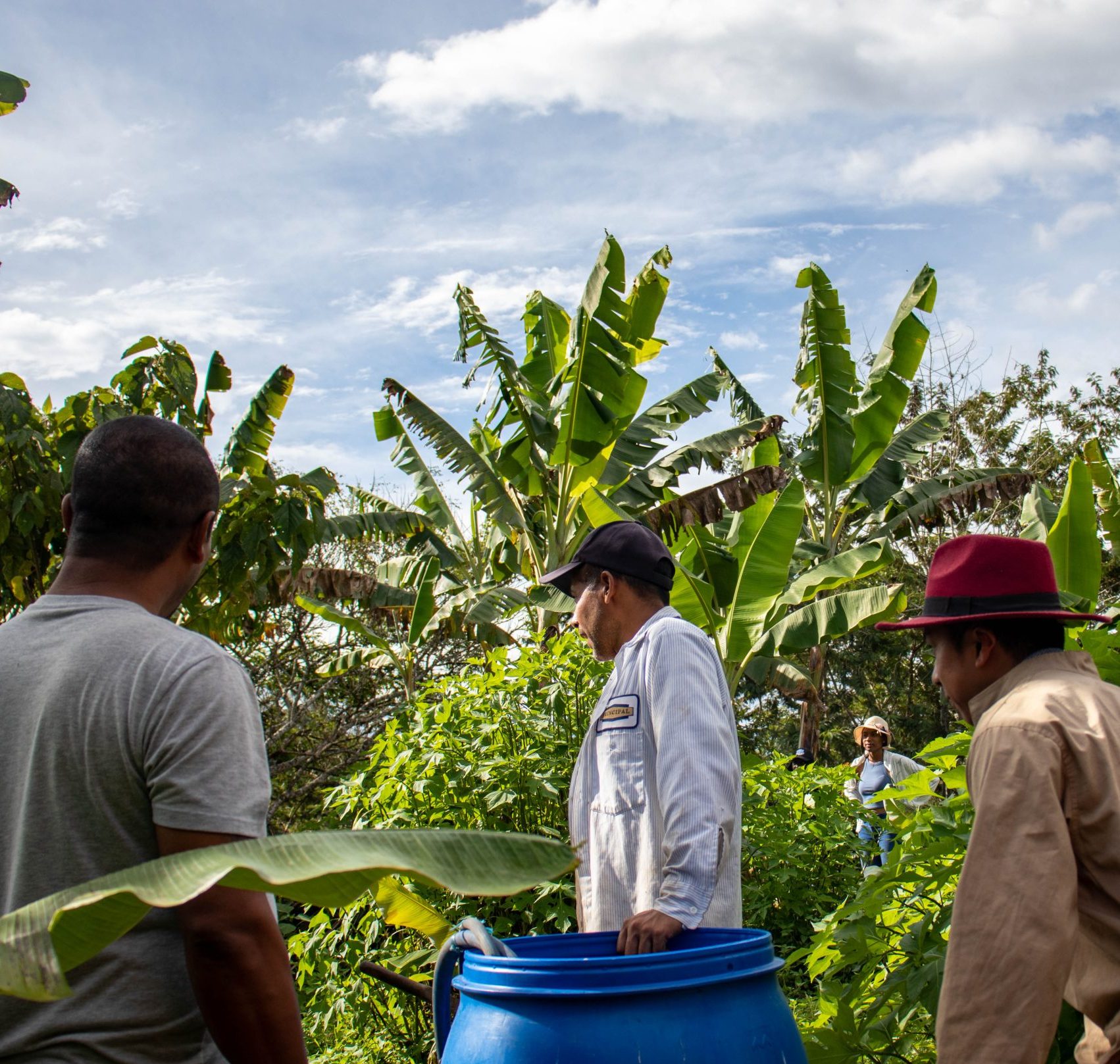 Imagen Finca escuela agroecológica demostrativa 6