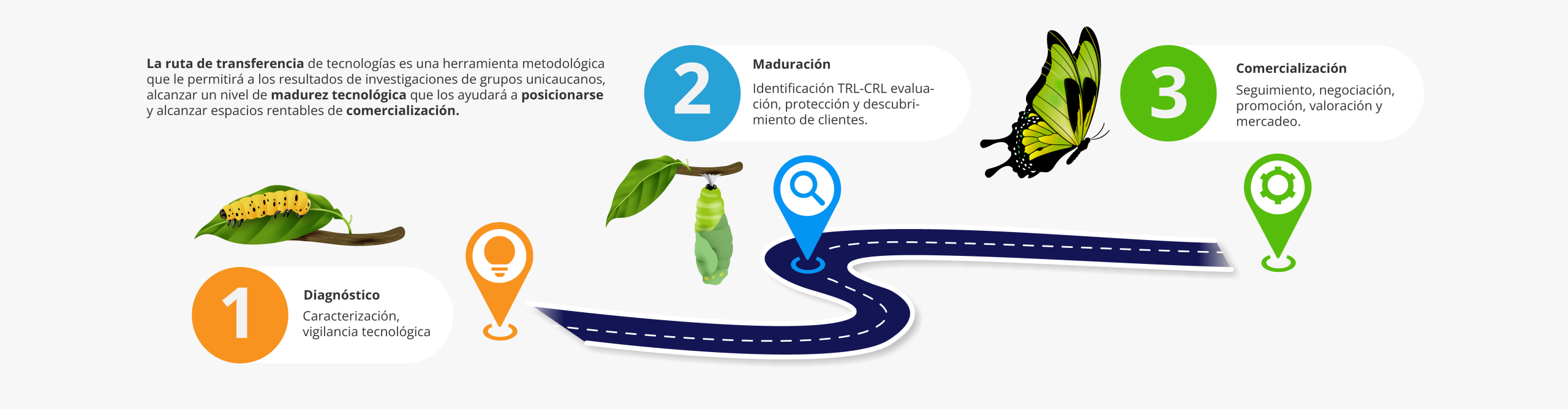 Imagen Infografía Área de Transferencia