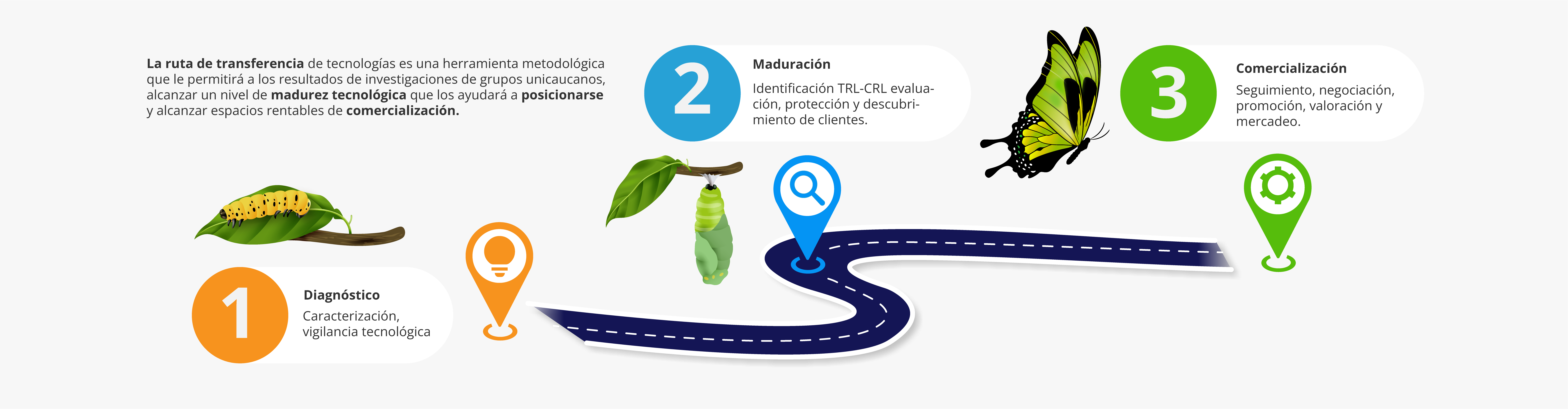Imagen Infografía Área de Transferencia