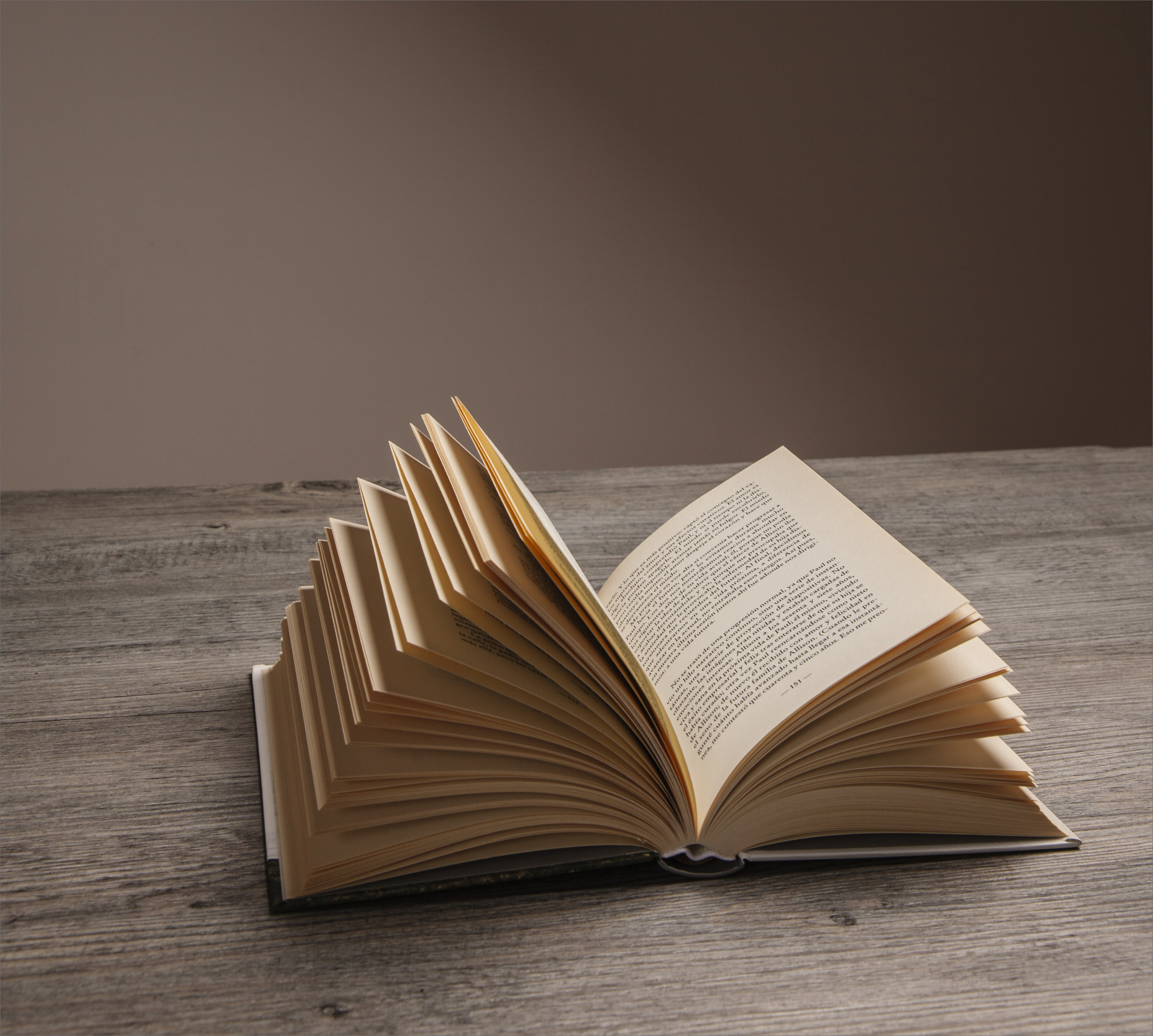 Imagen de Apoyo Comité Editorial