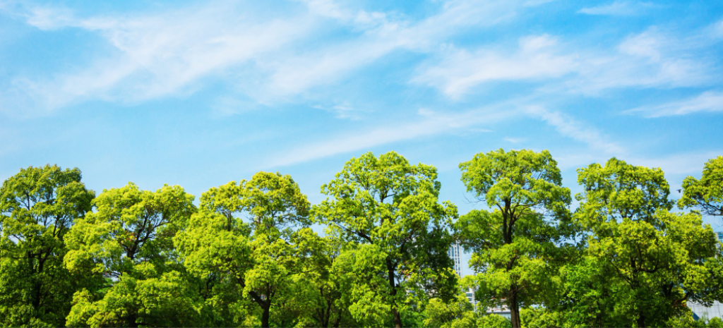 Tarjeta de Acceso a Cifras de Arbolario Universidad del Cauca