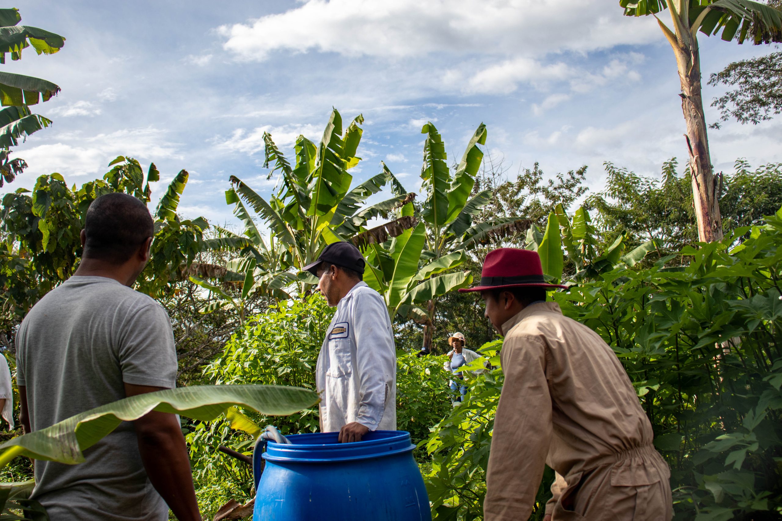 Imagen Ingeniería Agropecuaria