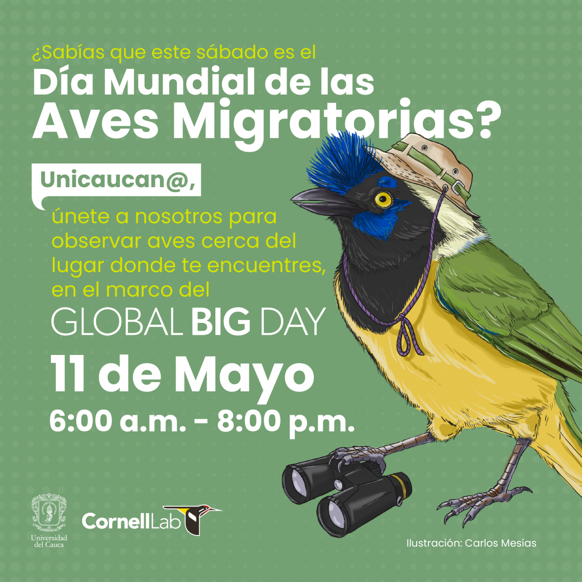 Imagen del evento Global Big Day