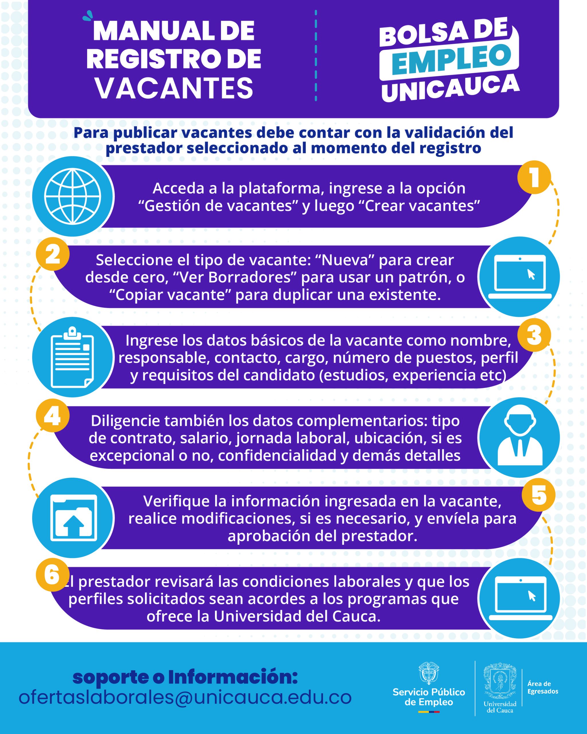 Infografía Instructivo Bolsa de empleo
