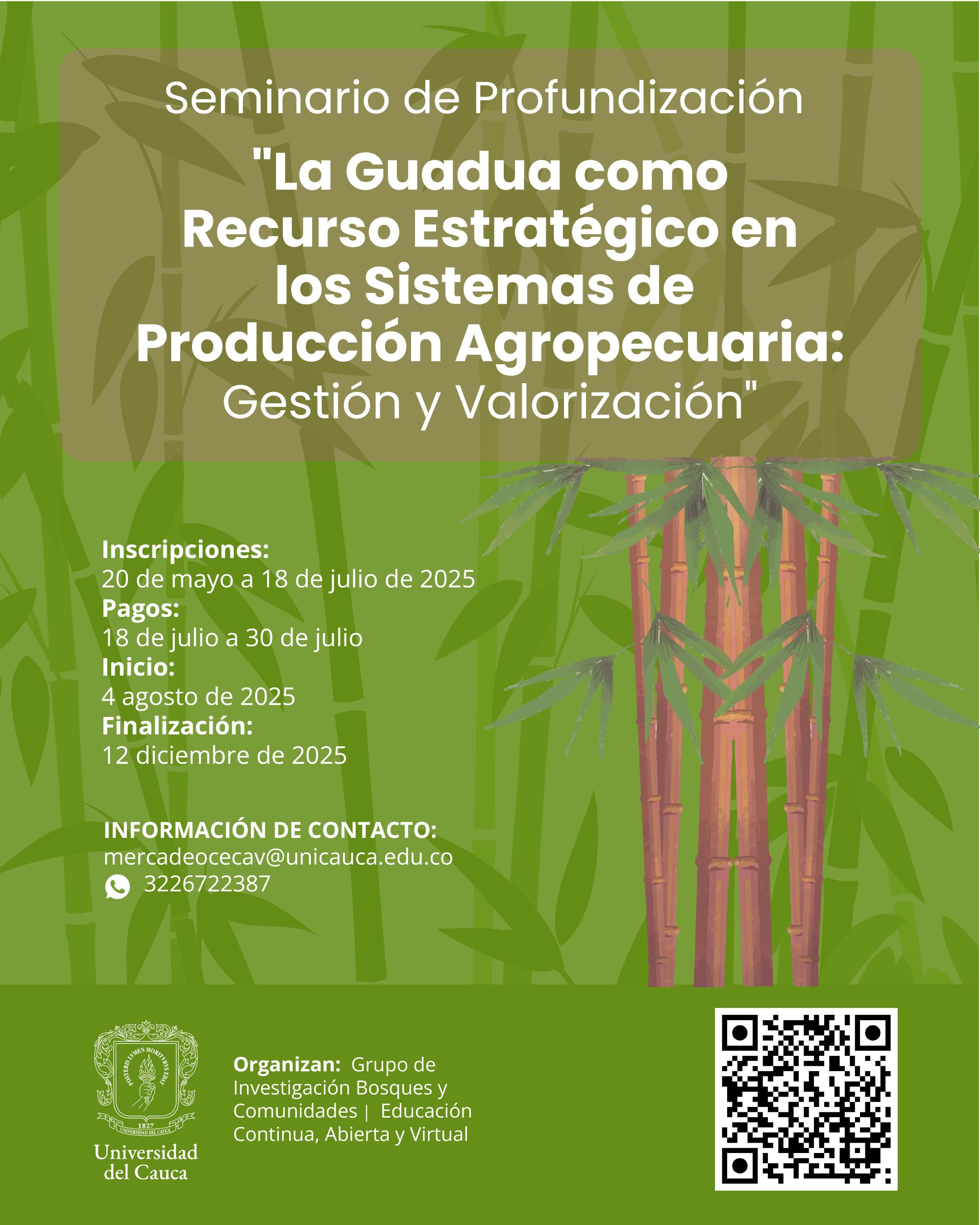 Imagen de Seminario de Profundización "La guadua como recurso estratégico en los sistemas de producción agropecuaria: gestión y valorización"