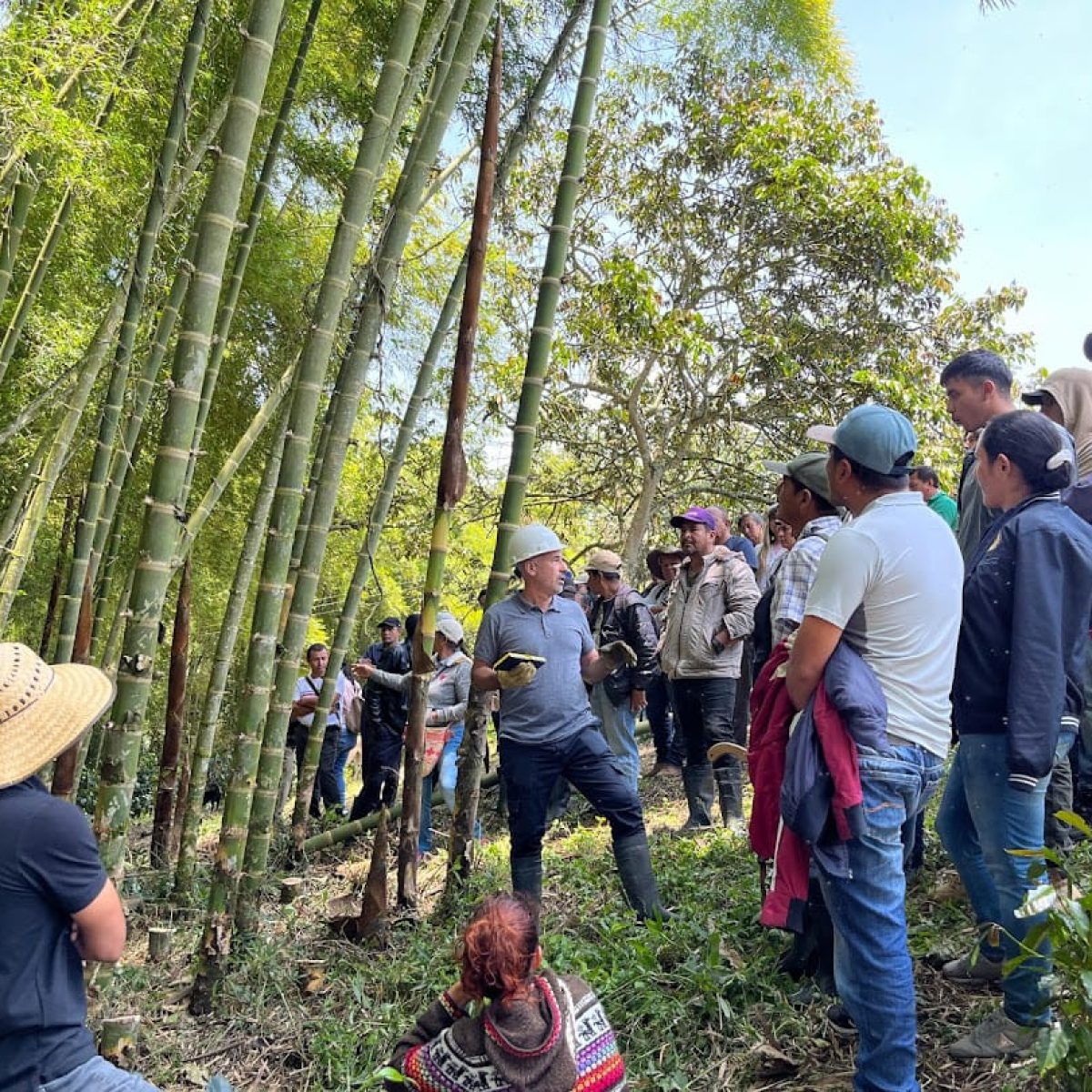 Imagen Extensión Agropecuaria