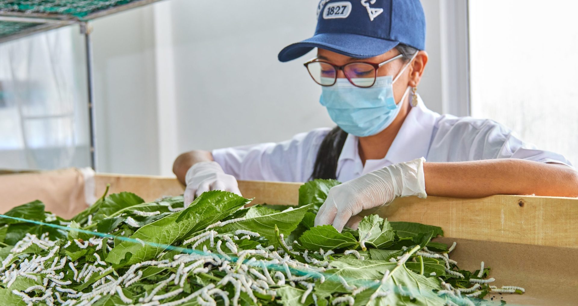 Imagen Área de Propiedad Intelectual